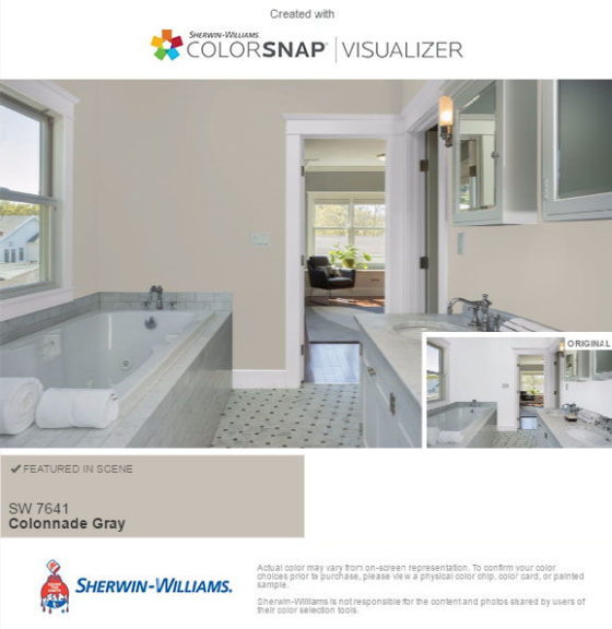 Sherwin Williams Colonnade Gray Bathroom